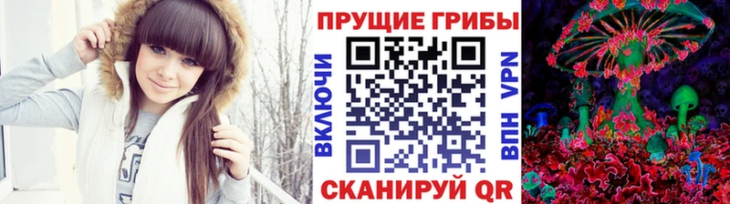 Купить закладки  Мценск  Галлюциногенные грибы Psilocybine cubensis 